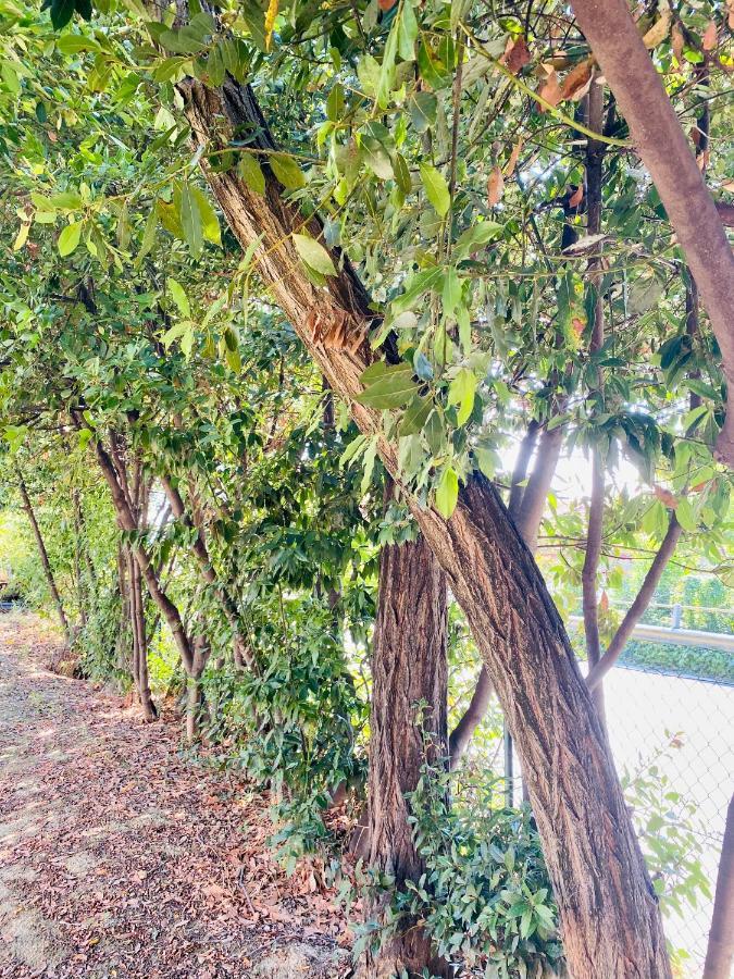 Villa Francesca Spoltore エクステリア 写真